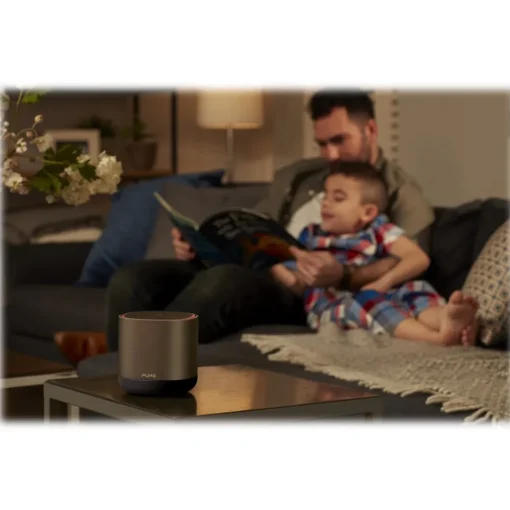 Pure - DiscovR - Graphite - Portable Smart Speaker - Alexa Built-In, Enhanced Music Discovery - High Quality Digital Radio - Avvenice^ Audio