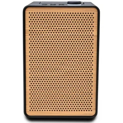 Pure - Evoke Spot - Coffee Black with Cherry Wood Grill - Wood Edition Compact Music System - High Quality Digital Radio - Avvenice^ Audio