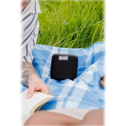 Pure - Woodland Mini - The Perfect Compact Outdoor Speaker - Black - High Quality Digital Radio - Avvenice^ Audio