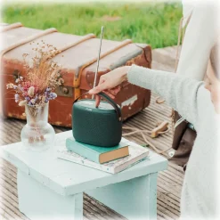 Pure - Woodland Waterproof (IP67) Outdoor Speaker with Bluetooth and FM/DAB+Radio - High Quality Digital Radio - Avvenice^ Audio