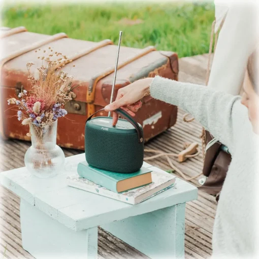 Pure - Woodland Waterproof (IP67) Outdoor Speaker with Bluetooth and FM/DAB+Radio - High Quality Digital Radio - Avvenice^ Audio