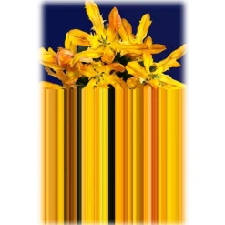 Qeeboo - Carpet Glitch Yellow Rectangular - Rectangular - Carpet by Richard Hutten - Furnishing - Home - Avvenice^ Furnishings