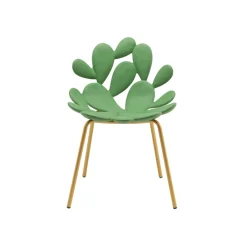 Qeeboo - Filicudi Chair - Set of 2 Pieces - Balsam Green Brass - Chair by Stefano Giovannoni - Furnishing - Home - Avvenice