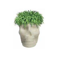 Qeeboo - Mexico Planter and Champagne Cooler - Ivory - by Studio Job - Furniture - Home - Avvenice