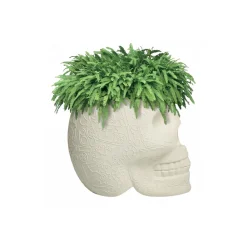 Qeeboo - Mexico Planter and Champagne Cooler - Ivory - by Studio Job - Furniture - Home - Avvenice