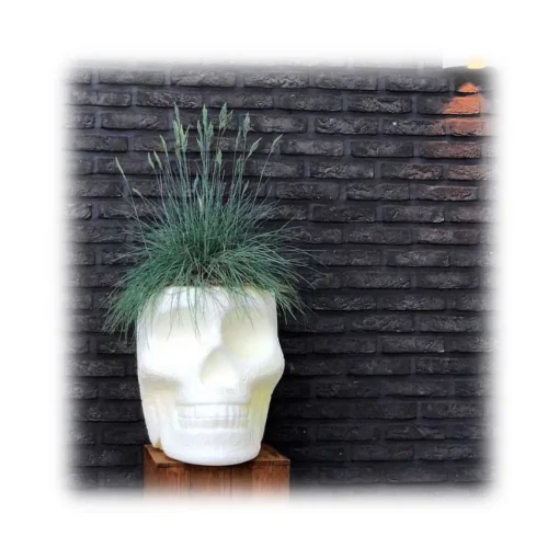 Qeeboo - Mexico Planter and Champagne Cooler - Balsam Green - Planter by Studio Job - Furnishing - Home - Avvenice
