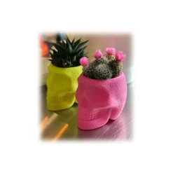 Qeeboo - Mexico XS - Bright Pink - Master Pack x 3 - by Studio Job - Furniture - Home - Avvenice