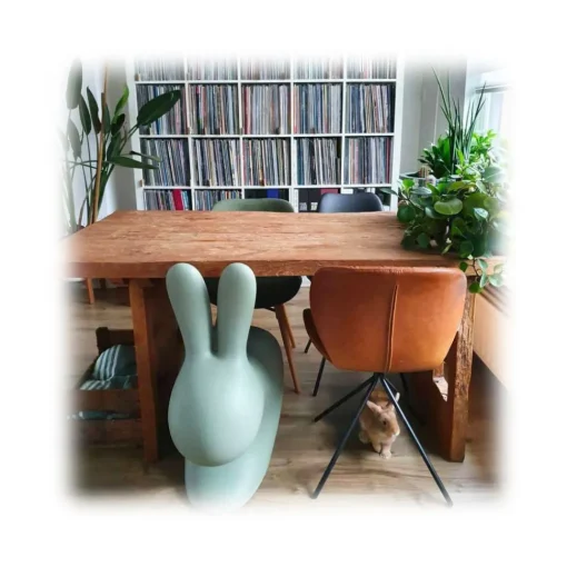 Qeeboo - Rabbit Chair - Bright Orange - Chair by Stefano Giovannoni - Furnishing - Home - Avvenice^ Furnishings