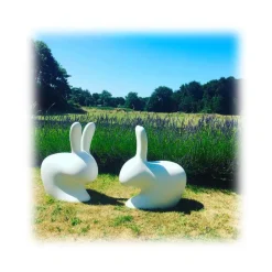 Qeeboo - Rabbit Chair - Bright Orange - Chair by Stefano Giovannoni - Furnishing - Home - Avvenice^ Furnishings