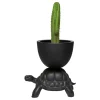 Qeeboo - Turtle Carry - Black - Planter and Champagne Cooler by Marcantonio - Furnishing - Home - Avvenice^ Furnishings | Accessories