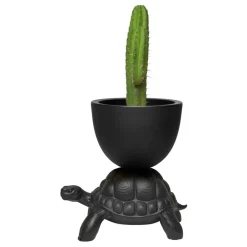 Qeeboo - Turtle Carry - Black - Planter and Champagne Cooler by Marcantonio - Furnishing - Home - Avvenice^ Furnishings | Accessories