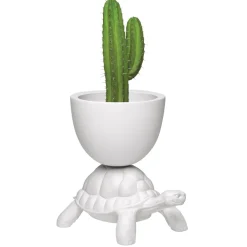 Qeeboo - Turtle Carry Planter and Champagne Cooler - White - Planter by Marcantonio - Furnishing - Home - Avvenice