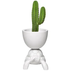 Qeeboo - Turtle Carry Planter and Champagne Cooler - White - Planter by Marcantonio - Furnishing - Home - Avvenice