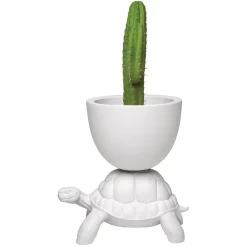 Qeeboo - Turtle Carry Planter and Champagne Cooler - White - Planter by Marcantonio - Furnishing - Home - Avvenice