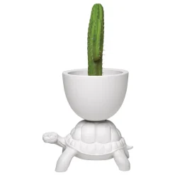 Qeeboo - White - Planter and Champagne Cooler by Marcantonio - Furnishing - Home - Avvenice^ Furnishings