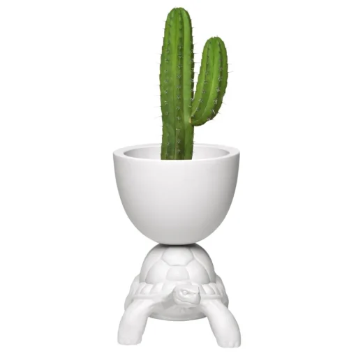 Qeeboo - White - Planter and Champagne Cooler by Marcantonio - Furnishing - Home - Avvenice^ Furnishings