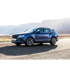 Rent Luxe Car - Bentley Bentayga - Exclusive Luxury Rent - Avvenice^ Supercar