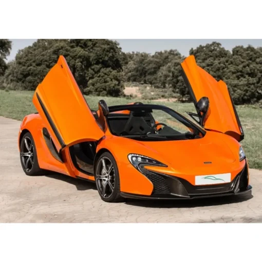 Rent Luxe Car - McLaren 650S - Exclusive Luxury Rent - Avvenice^ Supercar