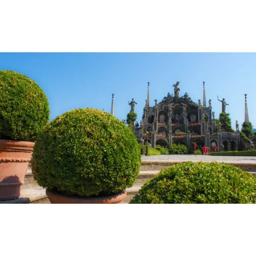 Rent Offshore Lago Maggiore - Mini-Cruise of The Borromean Gulf - Exclusive Luxury Private Tour - Yacht - Panoramic Cruise - Avvenice