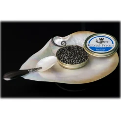 Royal Food Caviar - Reale - Oscetra Caviar - Russian Sturgeon - 100 g - Avvenice^ Caviar And Oysters