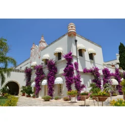 Sangiorgio Resort & Spa Sangiorgio Resort & Spa - Exclusive Luxury Gold Gourmet - Salento - Puglia Italy - 6 Days 5 Nights - Avvenice