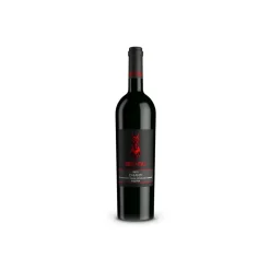 Scuderia Italia - Chianti Riserva D.O.C.G. - 2010 - Italy - Red Wines - Luxury Limited Edition - Avvenice^ Wines