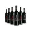Scuderia Italia - Pack of 6 Valpolicella Bottles - Italy - Red Wines - Luxury Limited Edition - Avvenice