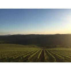 Tenuta l'Impostino Tenuta l'Impostino - Wine Lover - 4 Days 3 Nights - Avvenice^ Nature & Relax
