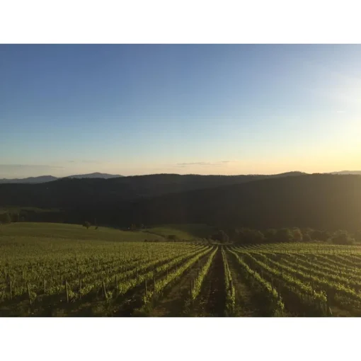 Tenuta l'Impostino Tenuta l'Impostino - Wine Lover - 4 Days 3 Nights - Avvenice^ Nature & Relax