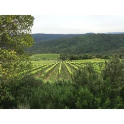 Tenuta l'Impostino Tenuta l'Impostino - Wine Lover - 3 Days 2 Nights - Avvenice