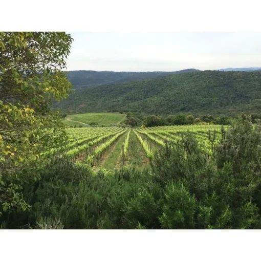 Tenuta l'Impostino Tenuta l'Impostino - Wine Lover - 3 Days 2 Nights - Avvenice