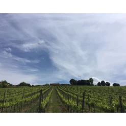 Tenuta l'Impostino Tenuta l'Impostino - Wine Lover - 4 Days 3 Nights - Avvenice^ Nature & Relax