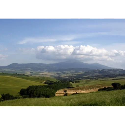 Tenuta l'Impostino Tenuta l'Impostino - Wine Lover - 4 Days 3 Nights - Avvenice^ Nature & Relax