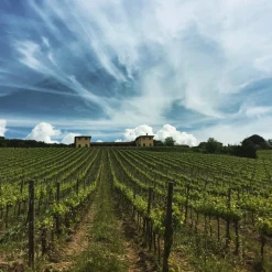 Tenuta l'Impostino Tenuta l'Impostino - Wine Lover - 3 Days 2 Nights - Avvenice