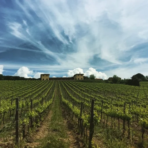 Tenuta l'Impostino Tenuta l'Impostino - Wine Lover - 3 Days 2 Nights - Avvenice