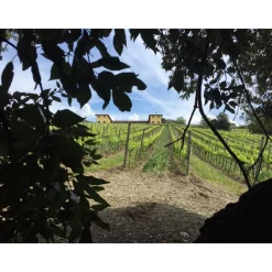 Tenuta l'Impostino Tenuta l'Impostino - Wine Lover - 3 Days 2 Nights - Avvenice