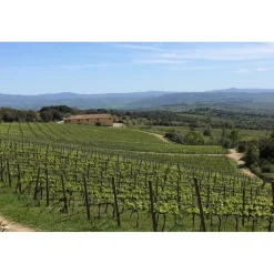 Tenuta l'Impostino Tenuta l'Impostino - Wine Lover - 4 Days 3 Nights - Avvenice^ Nature & Relax