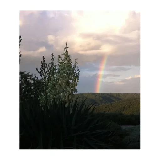 Tenuta l'Impostino Tenuta l'Impostino - Wine Lover - 4 Days 3 Nights - Avvenice^ Nature & Relax