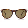Tom Ford Eyewear Tom Ford - Polarized Kellan Sunglasses - Round Style Sunglasses - Havana Green - FT0626-P - Sunglasses - - Avvenice^ Sunglasses & Eyewear