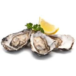 Wilde Wadoesters - Wild Oysters - 50 - Handpicked on the Wadden Sea - UNESCO World Heritage Site - Avvenice^ Caviar And Oysters
