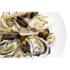 Wilde Wadoesters - Wild Oysters - 500 - Handpicked on the Wadden Sea - UNESCO World Heritage Site - Avvenice^ Caviar And Oysters