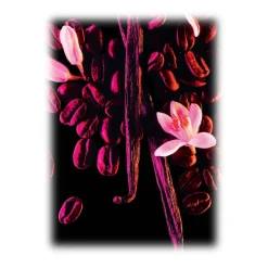 Yves Saint Laurent Beauty Yves Saint Laurent - Black Opium Eau De Parfum - An Addictive Black Coffee, White Florals and Vanilla - Luxury - 10 ml - Avvenice