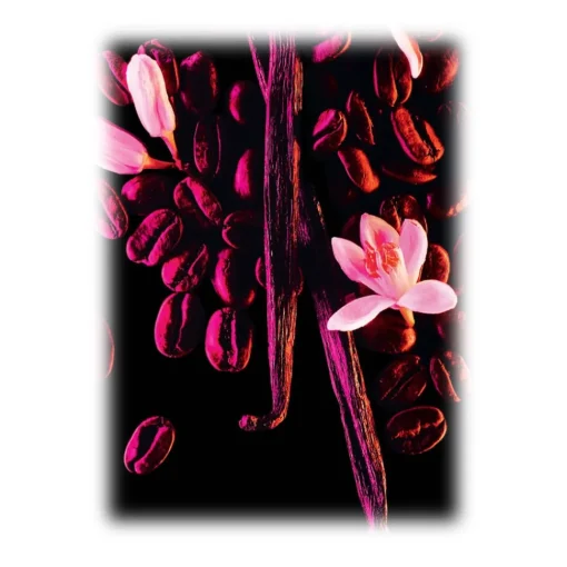 Yves Saint Laurent Beauty Yves Saint Laurent - Black Opium Eau De Parfum - An Addictive Black Coffee, White Florals and Vanilla - Luxury - 10 ml - Avvenice