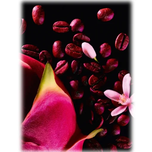 Yves Saint Laurent Beauty Yves Saint Laurent - Black Opium Eau de Parfum Neon - A Warm Fragrance with Coffee, Orange Blossom, & Dragon Fruit - 75 ml - Avvenice^ Fragrances