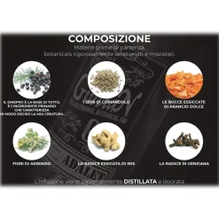 Distilleria Zanin 1895 Zanin 1895 - GiuliaN Gin - Distilled - Adalet Unconventional Groove - Fabrizio Corona Official - Italian Original Botanical Gin - Avvenice