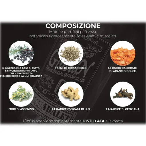 Distilleria Zanin 1895 Zanin 1895 - GiuliaN Gin - Distilled - Adalet Unconventional Groove - Fabrizio Corona Official - Italian Original Botanical Gin - Avvenice