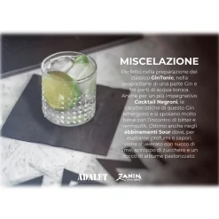 Distilleria Zanin 1895 Zanin 1895 - GiuliaN Gin - Distilled - Adalet Unconventional Groove - Fabrizio Corona Official - Italian Original Botanical Gin - Avvenice