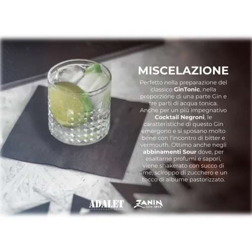 Distilleria Zanin 1895 Zanin 1895 - GiuliaN Gin - Distilled - Adalet Unconventional Groove - Fabrizio Corona Official - Italian Original Botanical Gin - Avvenice