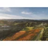 Acetaia Sereni Spa & Wellness|Nature & Relax-- Exclusive Experience - Guided Tour - Tasting - Balsamic Vinegar of Modena D.O.P. - 3 Days 2 Nights - Avvenice
