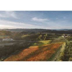 Acetaia Sereni Spa & Wellness|Nature & Relax-- Exclusive Experience - Guided Tour - Tasting - Balsamic Vinegar of Modena D.O.P. - 3 Days 2 Nights - Avvenice